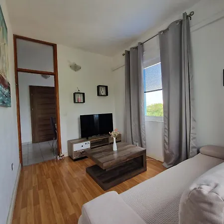 Urban Solo Apartment